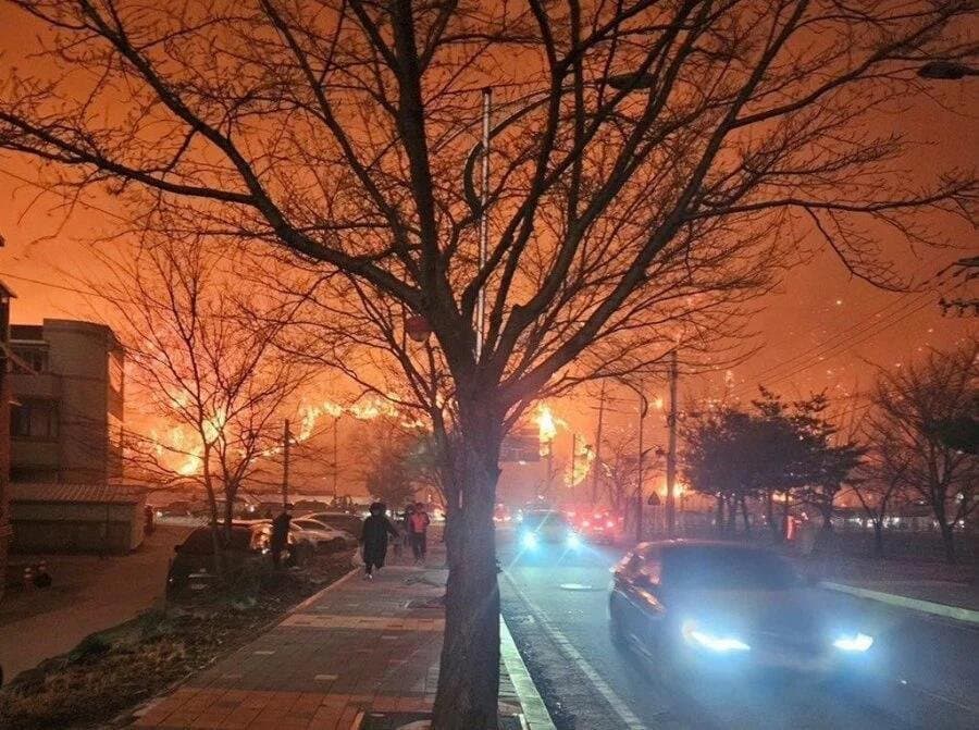 Des incendies inédits touchent la Corée du Sud cette semaine