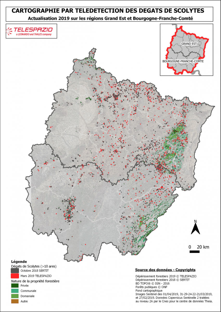 Image d'illustration pour Sécheresse - dépérissement massif des forêts en France