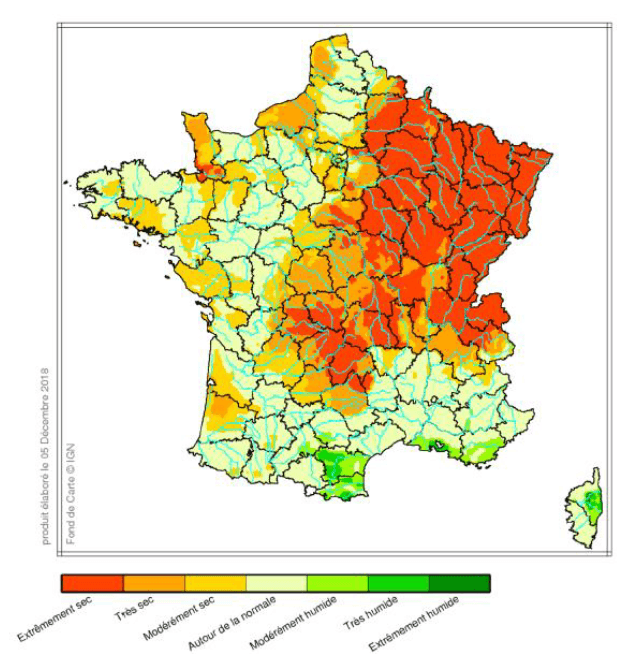 Image d'illustration pour Sécheresse - dépérissement massif des forêts en France